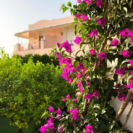 Hotel Boutique Casa Mariantonia 2*