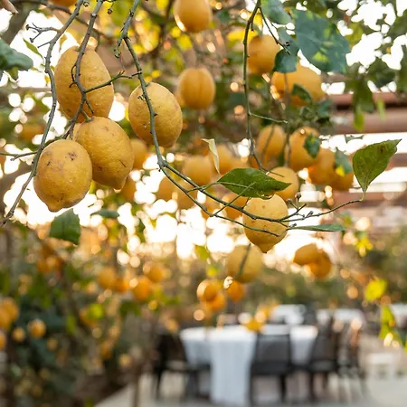 Hotel Boutique Casa Mariantonia