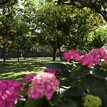 Boutique Casa Mariantonia Hotel 2*