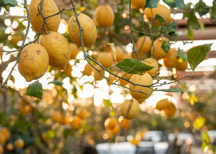 호텔 Boutique Casa Mariantonia