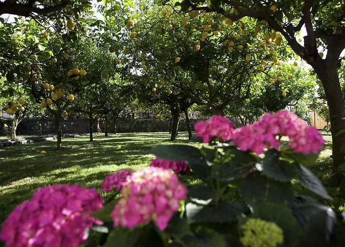 Boutique Casa Mariantonia 호텔 2*