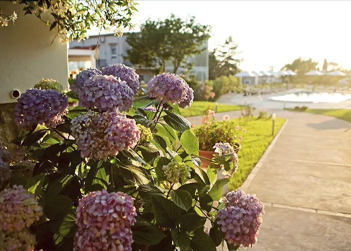 호텔 Boutique Casa Mariantonia 아나카프리